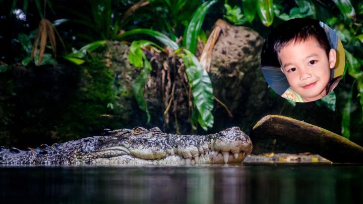¡Increíble! Cocodrilo rescata cuerpo de niño ahogado en Indonesia