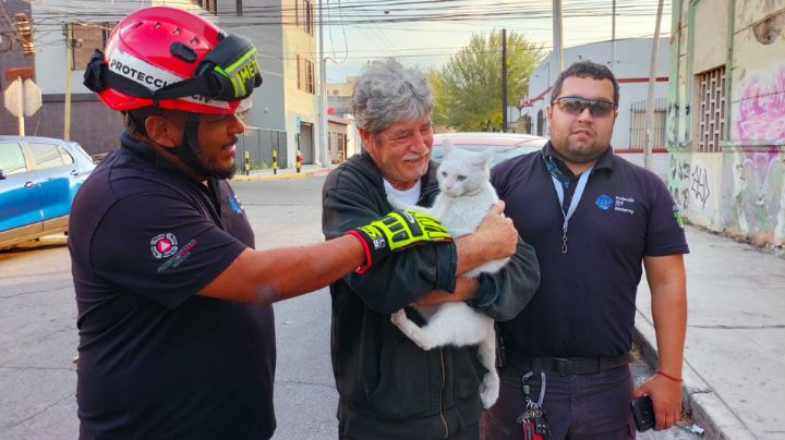 Protección Civil rescata a gatito atrapado en un domicilio