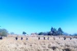 Encuentran restos humanos en el rancho La Rumorosa