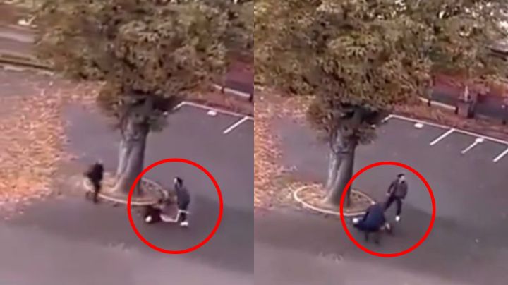 Video: Joven acuchilla y mata a un profesor en una escuela en Francia