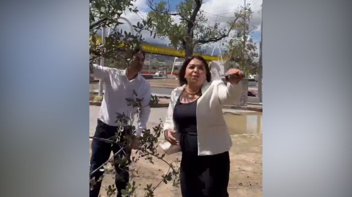 Patricio Zambrano y Brenda Sánchez se confrontan en plena transmisión en vivo