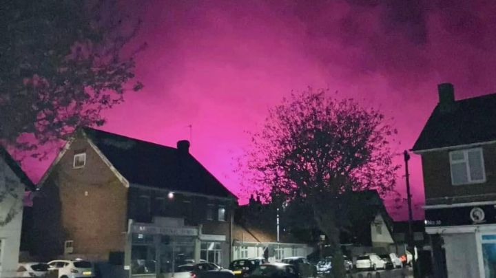 Tomates pintan de rosa cielo en Reino Unido, ¿Cómo fue posible?