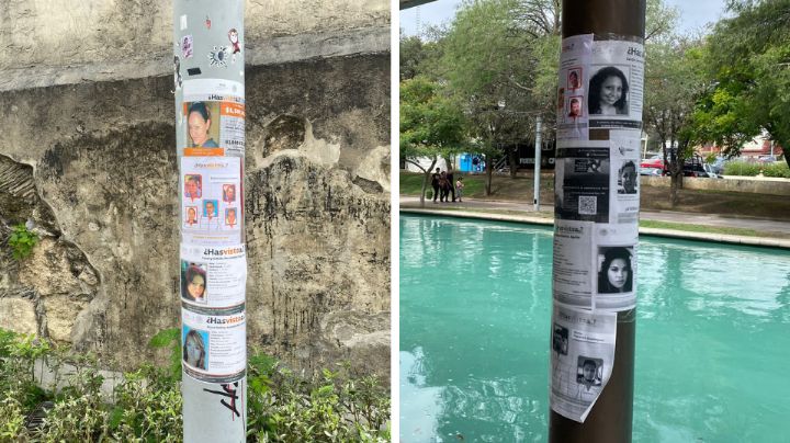 Tapizan postes del Paseo Santa Lucía con fotos de desaparecidos