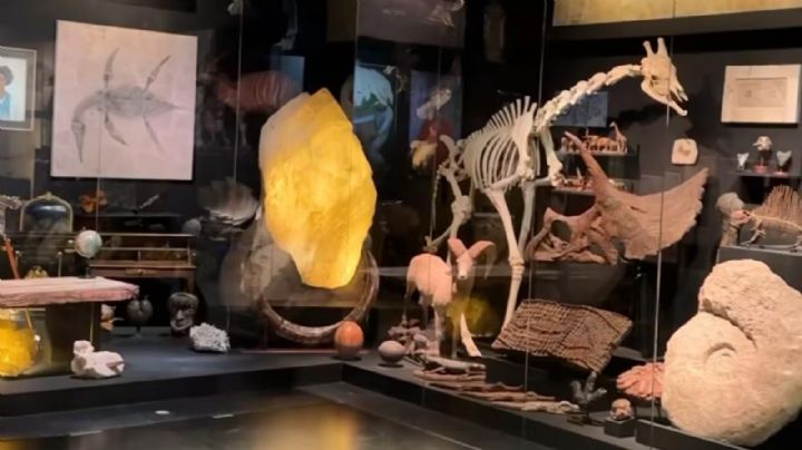 Museo 'La Milarca' en San Pedro ¿Cuándo será la apertura?