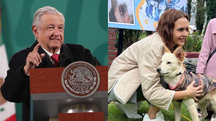 Destaca AMLO acciones de Clara Luz Flores contra maltrato animal