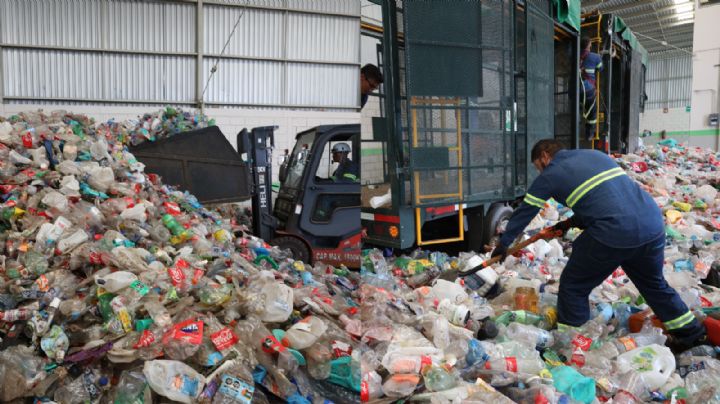 PetStar, + valor social, ambiental y económico