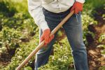 Inflación y efecto post covid, los problemas del campo neolonés: INEGI