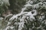 ¿Qué es una tormenta invernal, fenómeno localizado en Nuevo León?