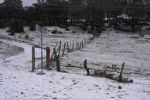 Cae aguanieve en Nuevo León por efectos de tormenta invernal