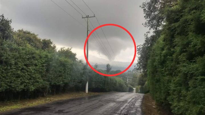 Tornado arrasa con huertas de aguacate en Peribán, Michoacán