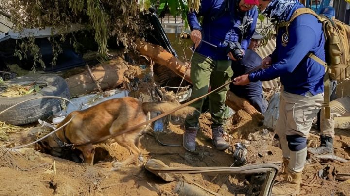 Hallan cuerpo de Angelly, niña de 2 años desaparecida tras impacto de 'Otis'