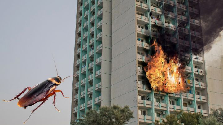 Hombre intenta matar cucaracha y provoca explosión en su departamento