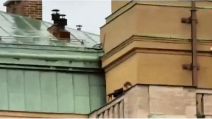 Tiroteo en Praga, el peor sufrido en un centro educativo en el mundo este año
