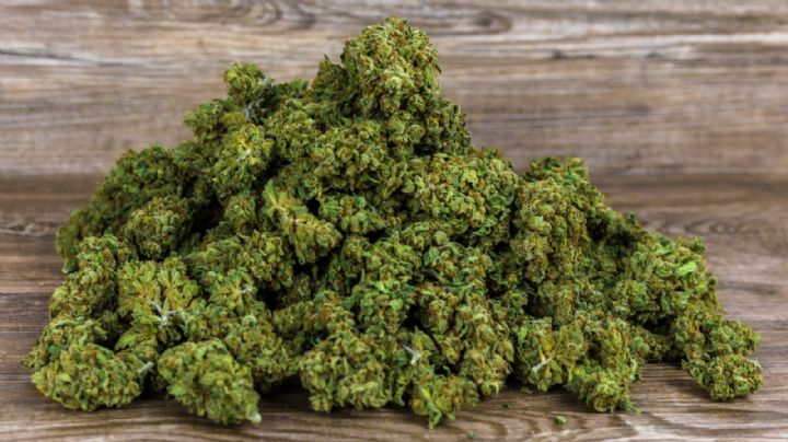 Tiendas de cannabis generan 150 mdd en su primer año en Nueva York