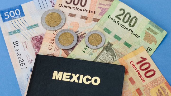 Estos son los nuevos precios para el pasaporte mexicano en 2024