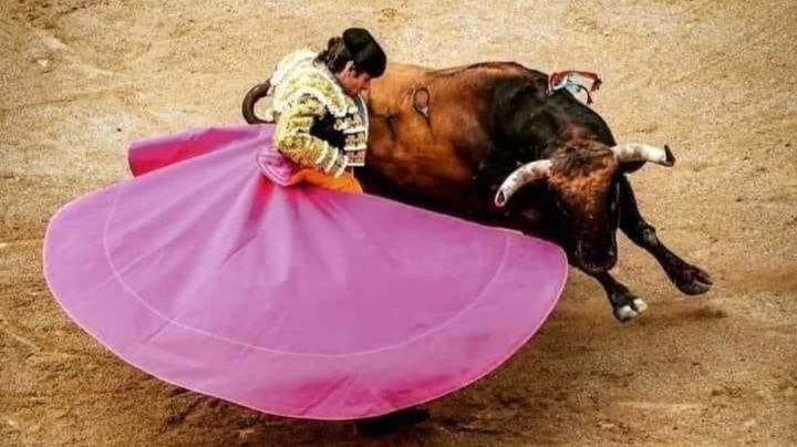 Suprema Corte levanta suspensión de corridas de toros en la Plaza México