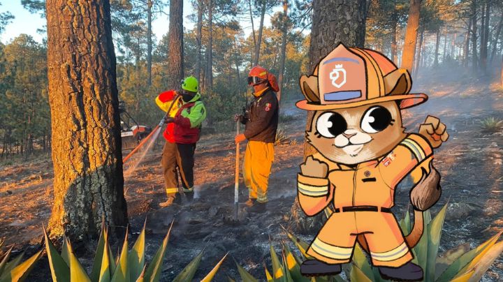 Conoce a 'Evita Fuegos' la leoncita que cuidará a Nuevo León de incendios forestales