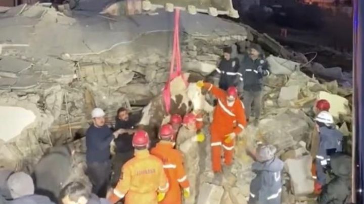 Turquía: Rescatan a vaca que estuvo bajo los escombros durante 11 días