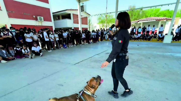 Bienestar Social de Apodaca enseña a estudiantes cuidado de mascotas