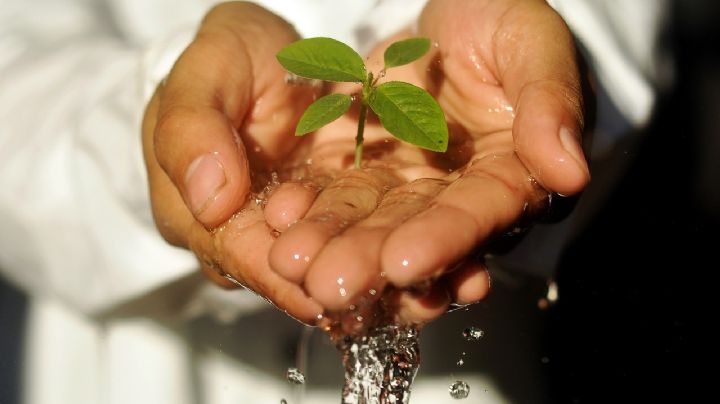 Este 2023 cuidemos el agua con estos sencillos pasos