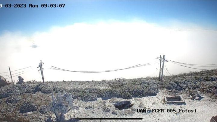 ¡Blanca primavera! Cae aguanieve en regiones montañosas de NL