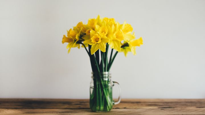 ¿Por qué suelen regalarse flores amarillas este 21 de marzo?