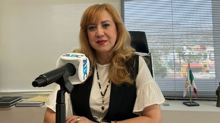 Estado busca que Congreso apruebe crear un registro de deudores alimentarios