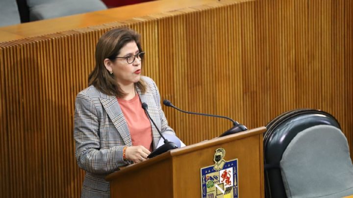 Rechaza PRIAN comparecencia de Javier Garza y Garza