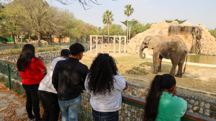 Exdirector de Parques y Vida Silvestre en NL denuncia daños en animales de La Pastora