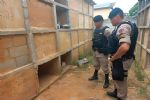 Entierran viva a una mujer en Brasil; policía logra rescatarla