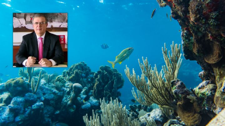 Celebra Ebrard tratado de protección de océanos