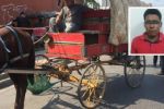 Cae carretonero por maltratar a caballo en Monterrey