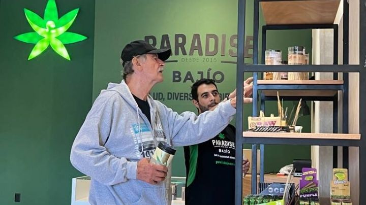 Investigarán permisos de Fox para comercializar cannabis