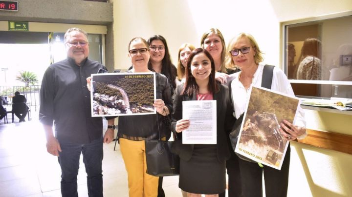 Exige diputada atender denuncias para evitar el desmonte en Cerro de las Águilas