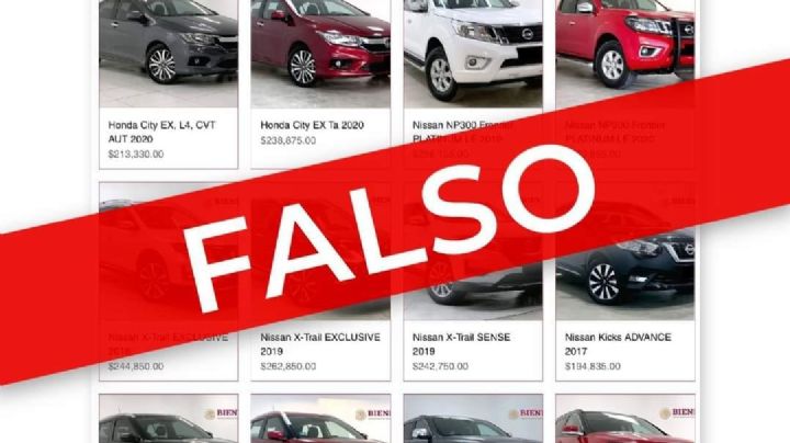 Bienestar Social advierte sobre uso de sus logos para estafar