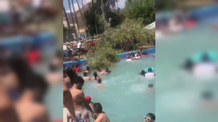 Cae árbol en alberca y mata a bebé de once meses 