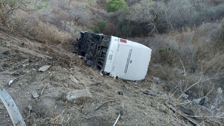 Autobús que trasladaba a equipo de futbol infantil cae a barranco; murió una mujer