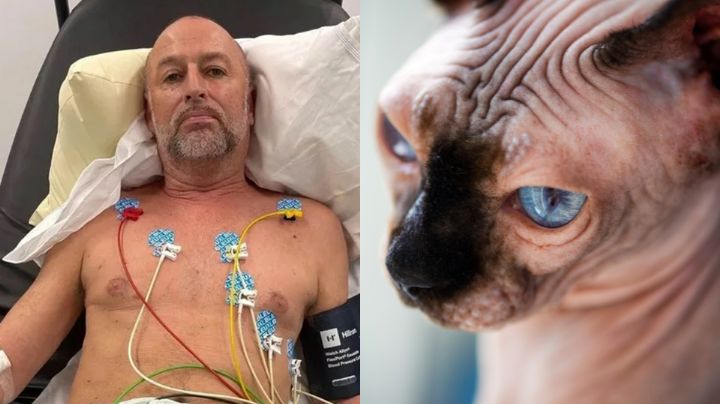 Chris Rowley: El hombre que casi muere ‘por culpa’ de su gato