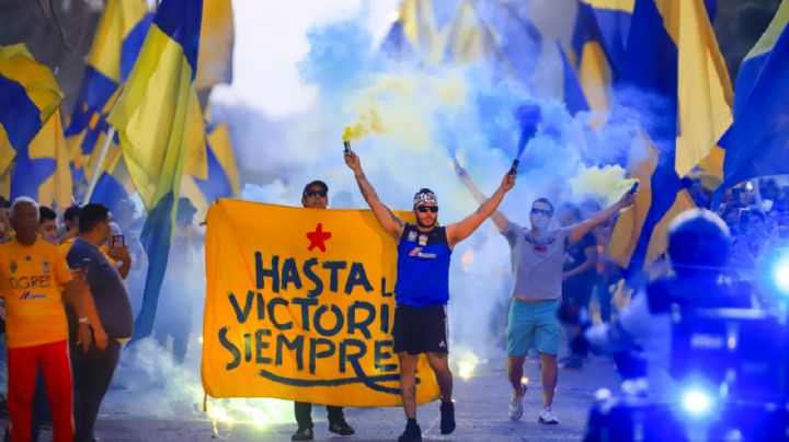 Tigres: Se espera invasión felina a Guadalajara