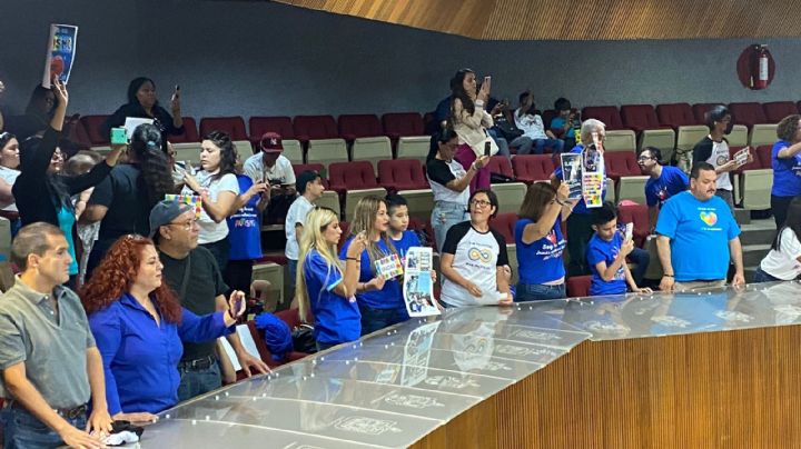 Congreso aprueba ley de inclusión y protección de personas con autismo