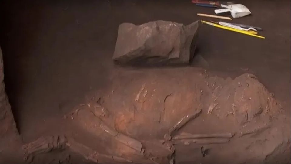 Encuentran fósil humano