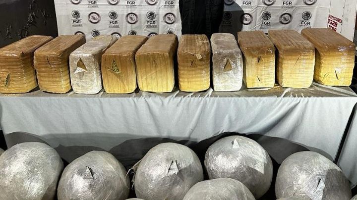 FGR asegura más de 200 kilos de marihuana en Galeana