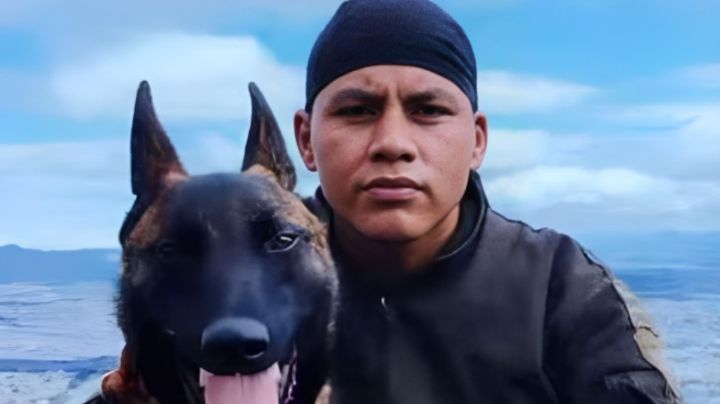 Guía canino no dejará la selva hasta hallar a 'Wilson', perrito que ayudó a niños perdidos