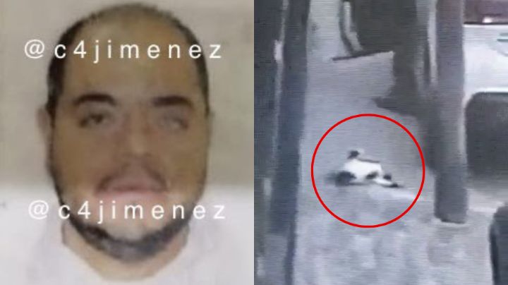 Detienen a hombre que mató de un balazo a un gato en Edomex