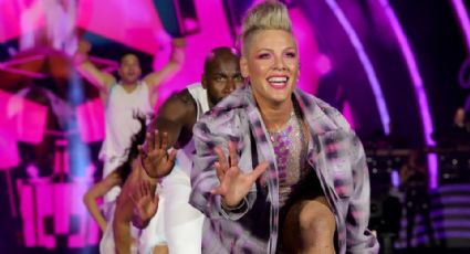 En pleno concierto Pink recibe las cenizas de la mamá de un fan y así reacciona