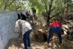 Descubren 11 fosas clandestinas con más de 20 cuerpos en Reynosa