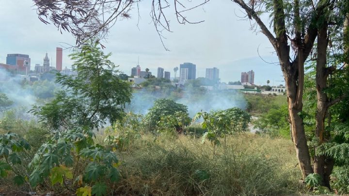 Incendios han afectado 6.3 hectáreas en el río Santa Catarina: Conafor