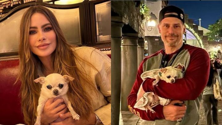 Sofía Vergara y Joe Manganiello aún no resuelven la custodia de su perro 'Bubbles'
