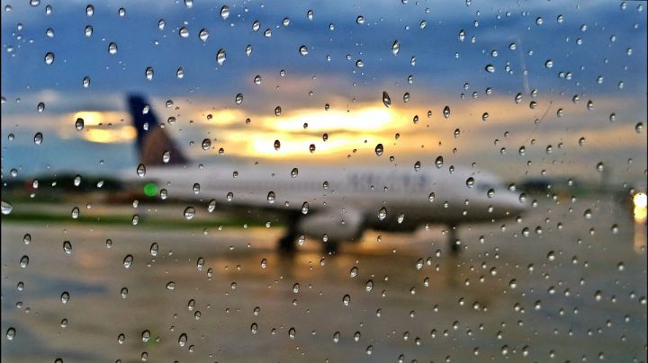 Así puedes consultar el estado de tu vuelo en Viva Aerobus y Volaris