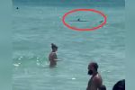Turistas huyen de tiburón que acechaba en playa de Florida